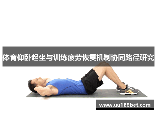 体育仰卧起坐与训练疲劳恢复机制协同路径研究