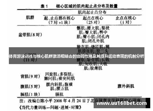 体育游泳训练与核心肌群激活相结合的协同作用及其提升运动表现的机制分析